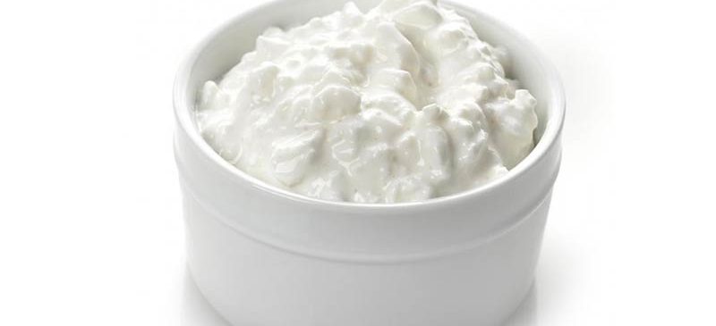 greek yogurt - best sources of protein