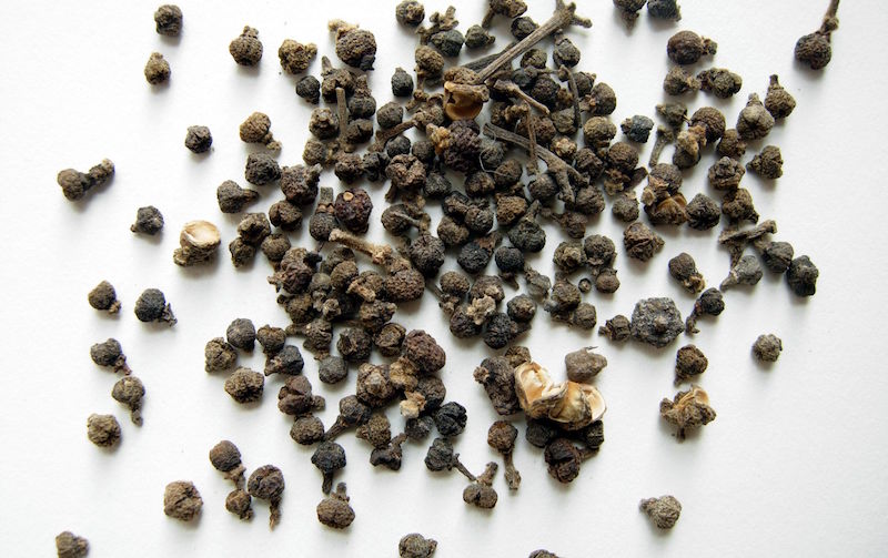 Wu-Zhu-Yu evodiamine